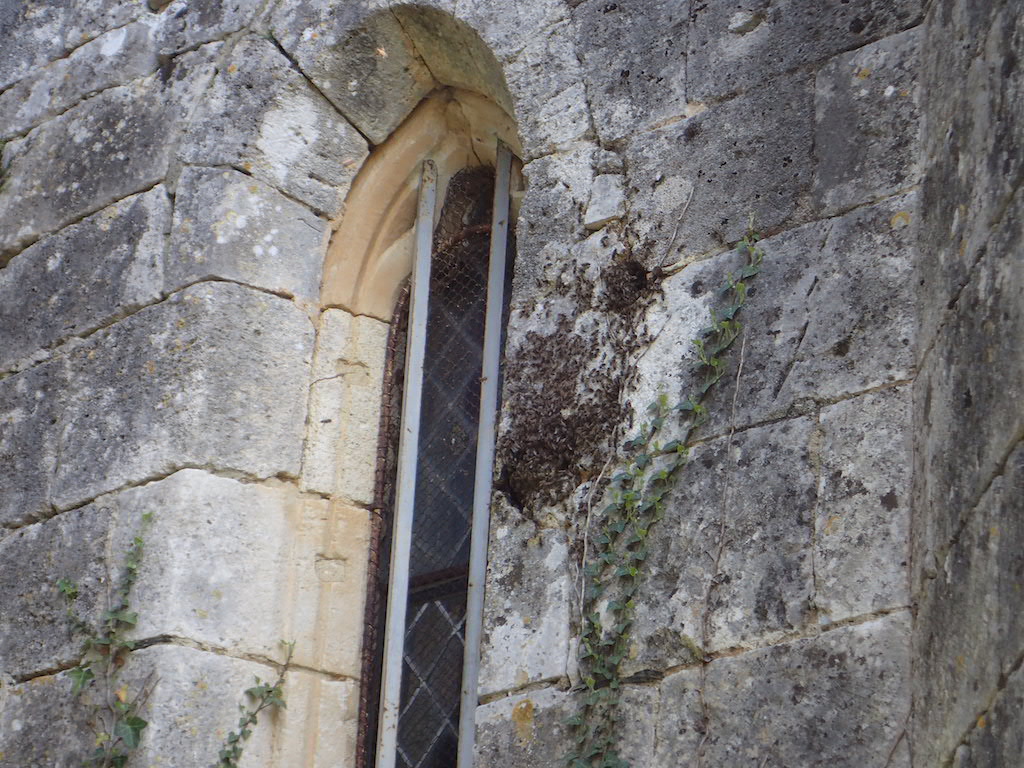 colonie abeilles mur