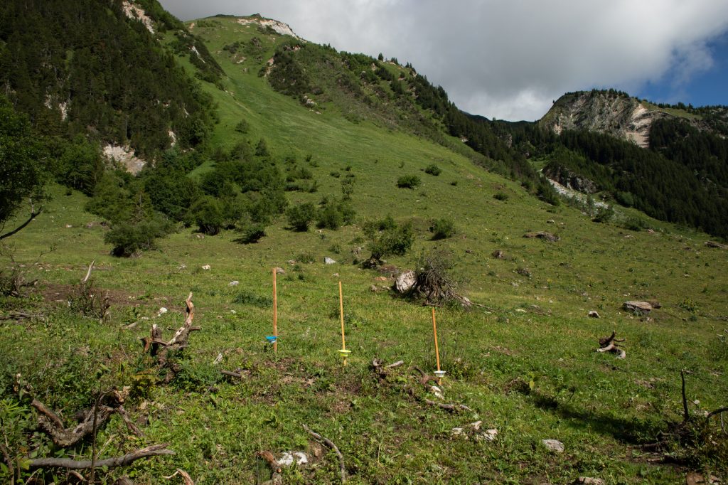 Parc national de la Vanoise