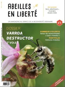 abeilles en liberté