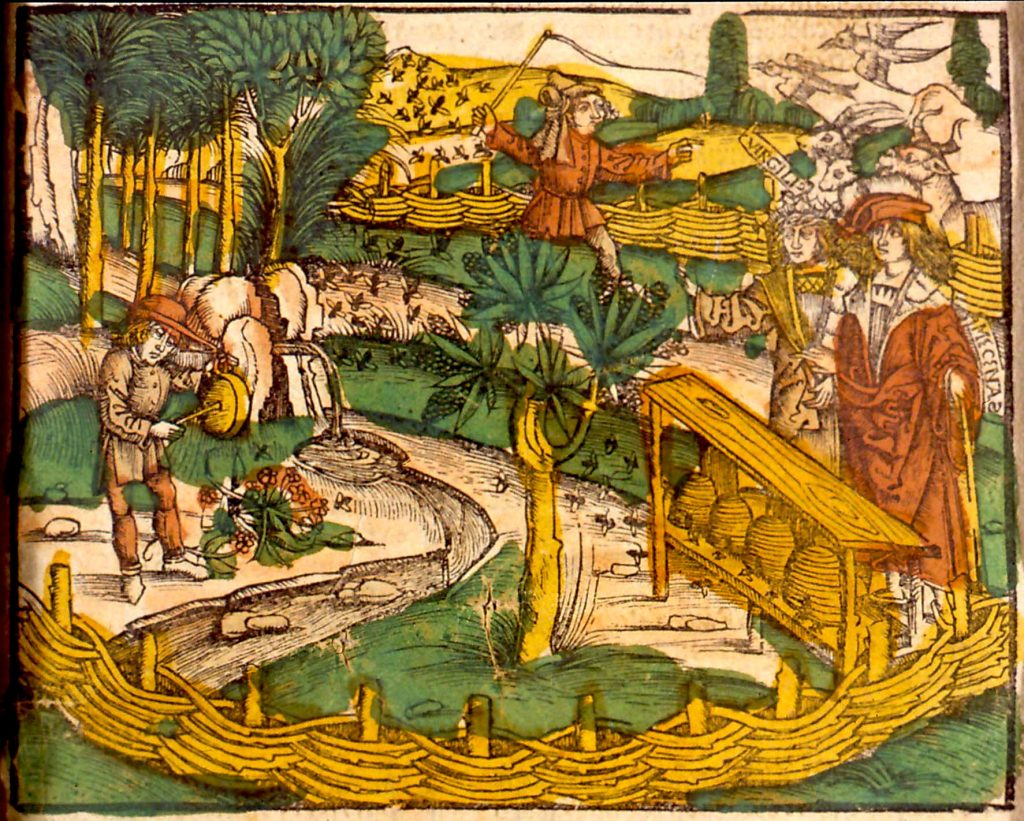 Apiculture en Alsace Medicinarius 1509 - Das Buch der Gesundheit ... de M. Ficinus. - Strasbourg - J. Grueninger, 1509. Wikimedia Commons
