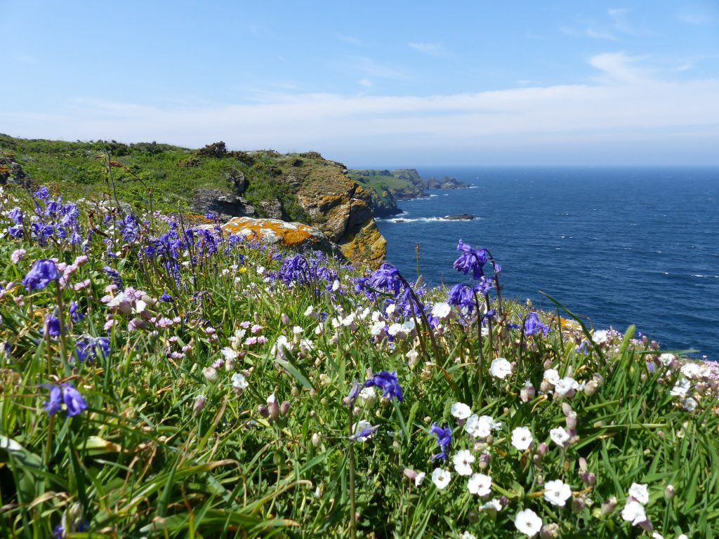 Island,Of,Groix,Bretagne