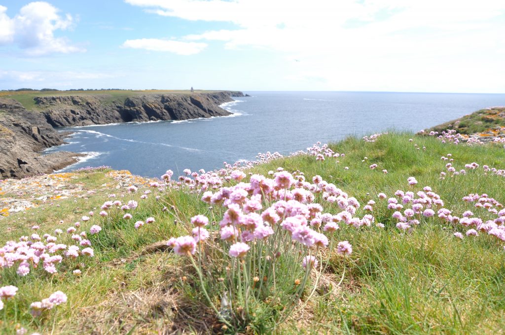 coté sauvage de ile de Groix