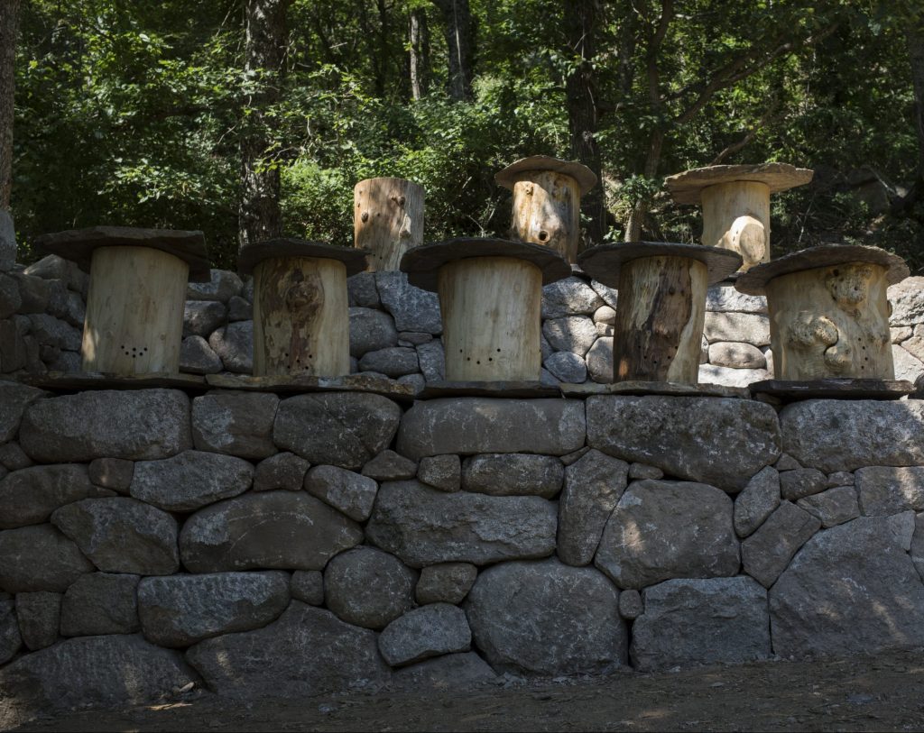 La vallée de l'abeille noire