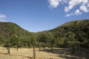 VAN paysage 2