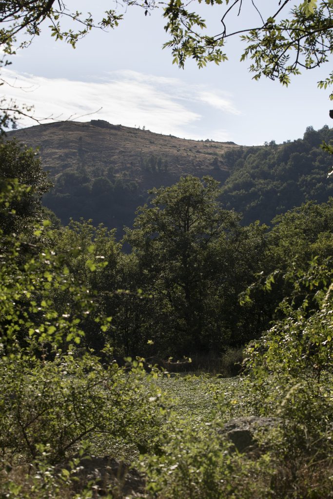 La vallée de l'abeille noire