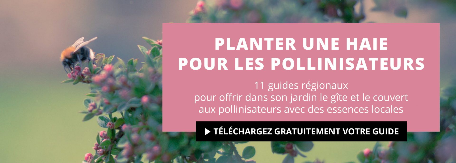GH_slide-siteweb_V1