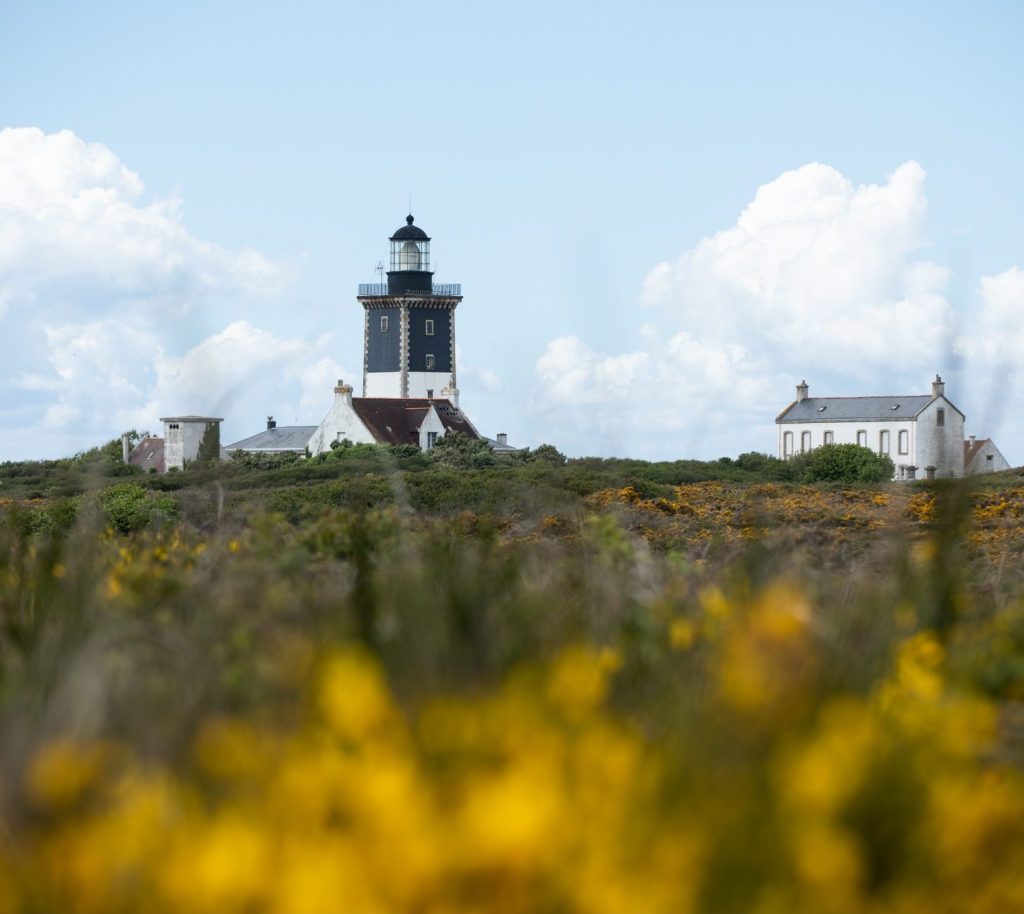 Pollinis à Groix