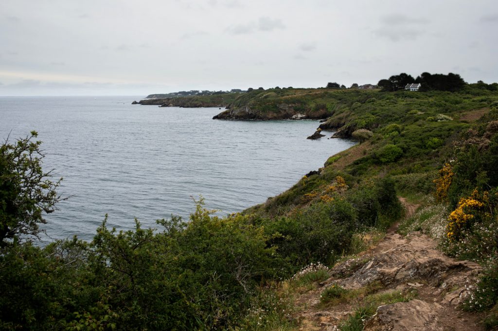 Pollinis à Groix