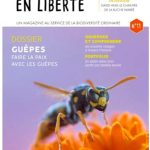 Abeilles en liberté pollinis