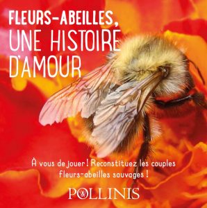 fleurs-et-abeilles-histoire-d-amour