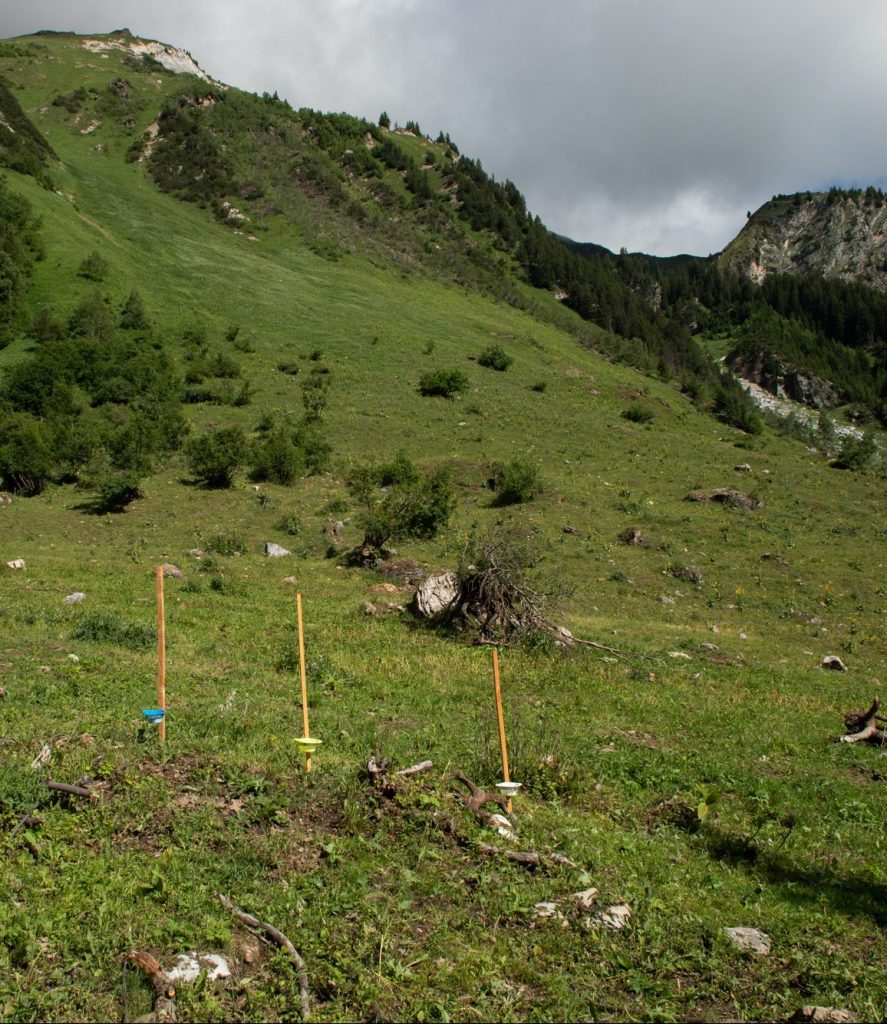 Parc national de la Vanoise