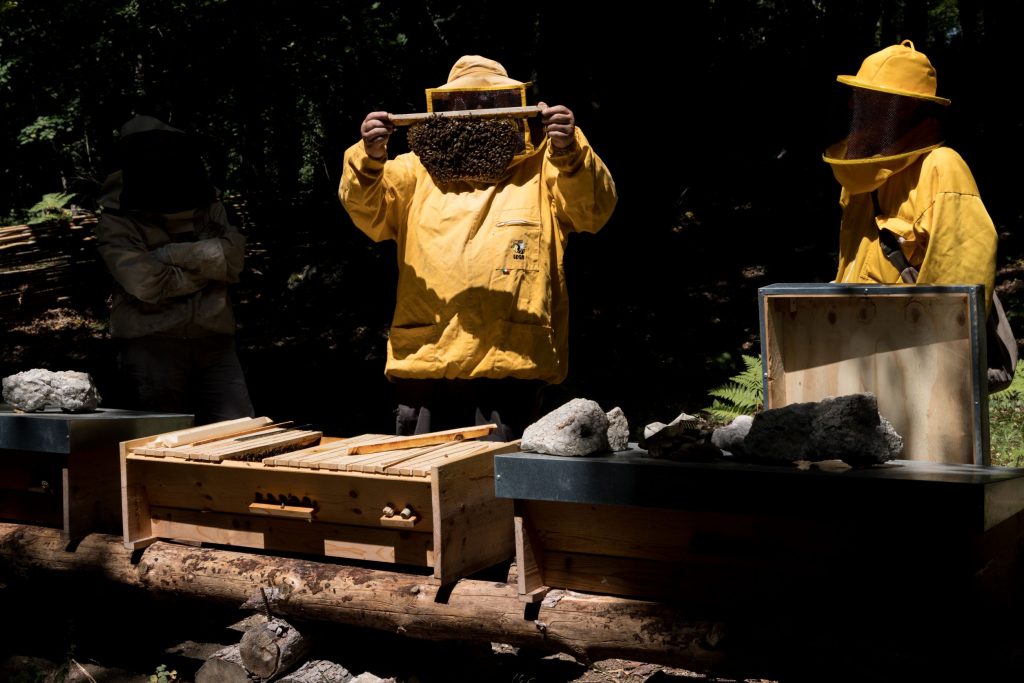 Bee Natural Festival - Festival de l'abeille - Italie 