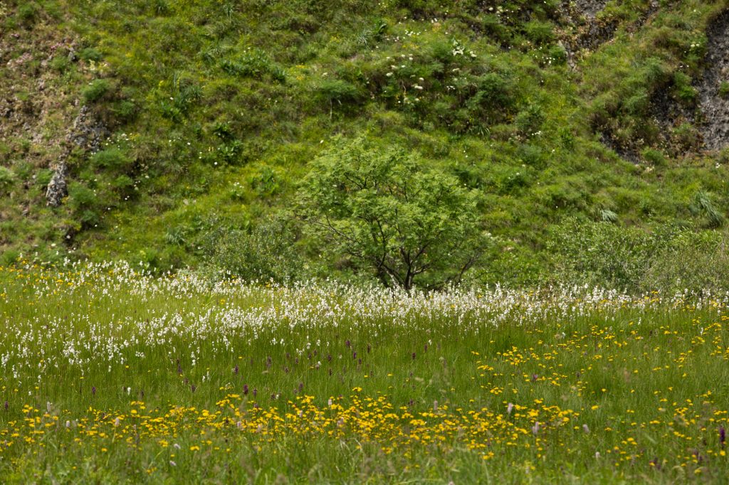 Parc national de la Vanoise