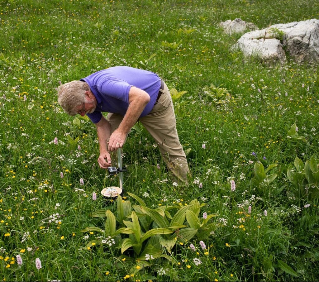 Parc national de la Vanoise