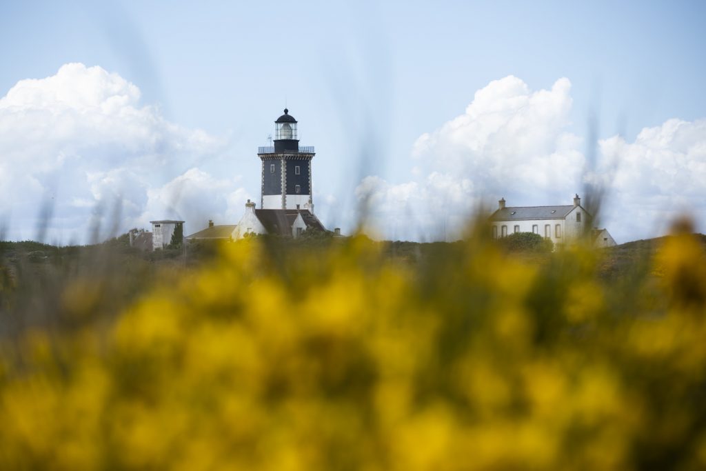 Pollinis à Groix