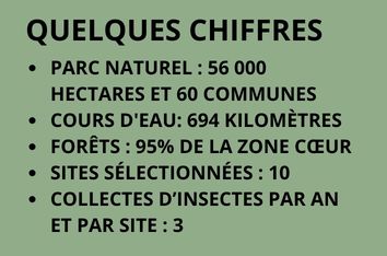 Chiffre parc foret