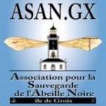 60d45db9-asan-gx-logo_104g04j00000000000001o