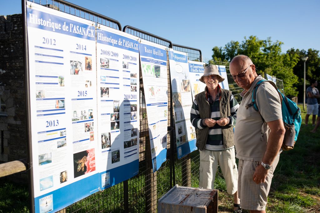 Festival des pollinisateurs et des abeilles de Groix