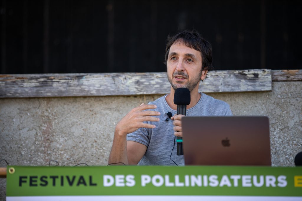 Festival des pollinisateurs et des abeilles de Groix