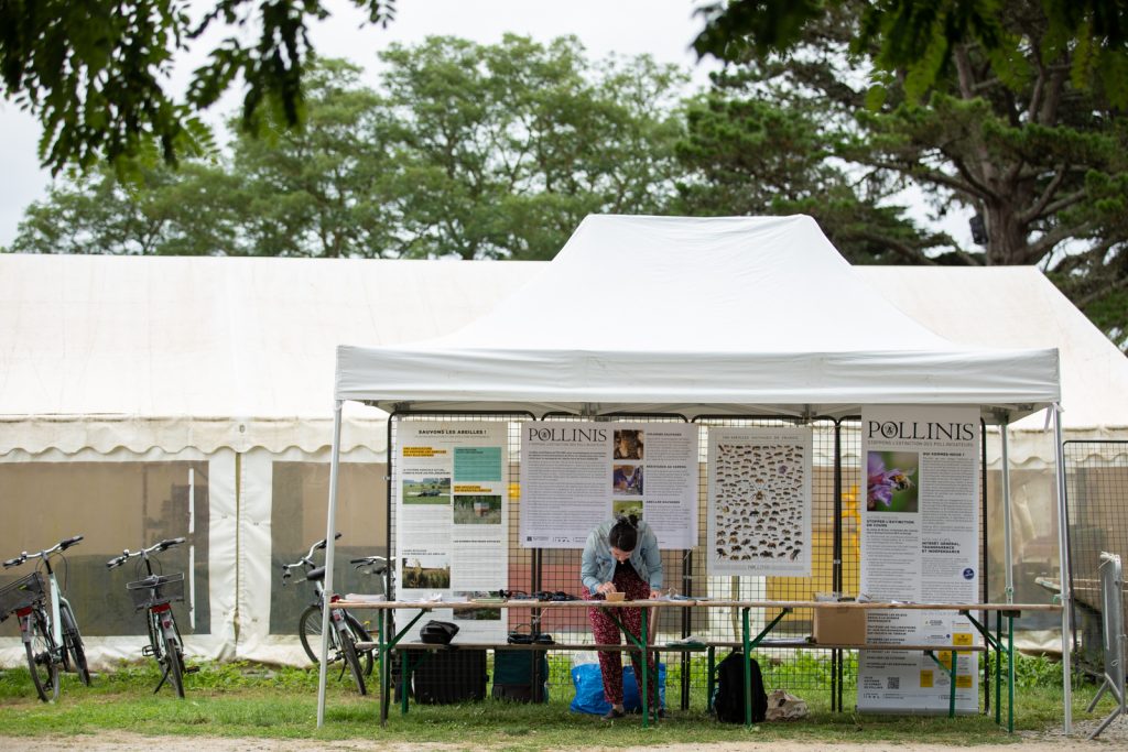 Festival des pollinisateurs et des abeilles de Groix