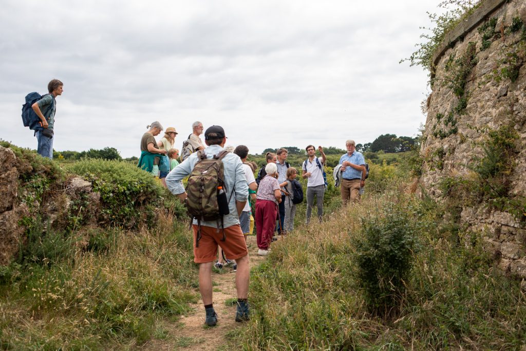 Festival des pollinisateurs et des abeilles de Groix