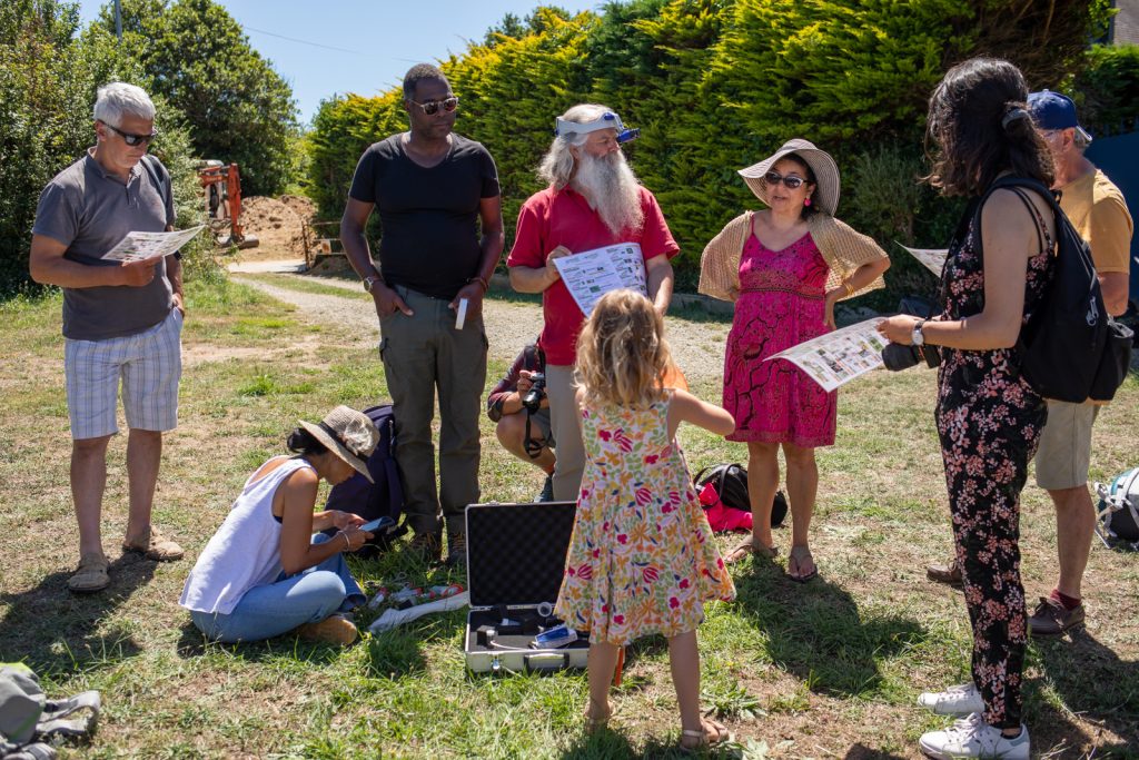 Festival des pollinisateurs et des abeilles de Groix