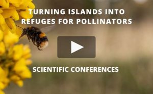 INTERNATIONAL SCIENTIFIC CONFERENCE TURNING ISLAND INTO REFUGES FOR POLLINATORS (580 × 360 px)