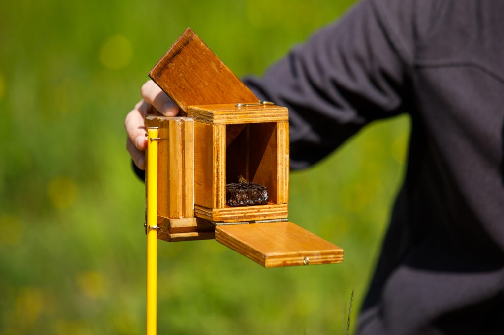 Bee-box-boite-a-abeilles-beelining