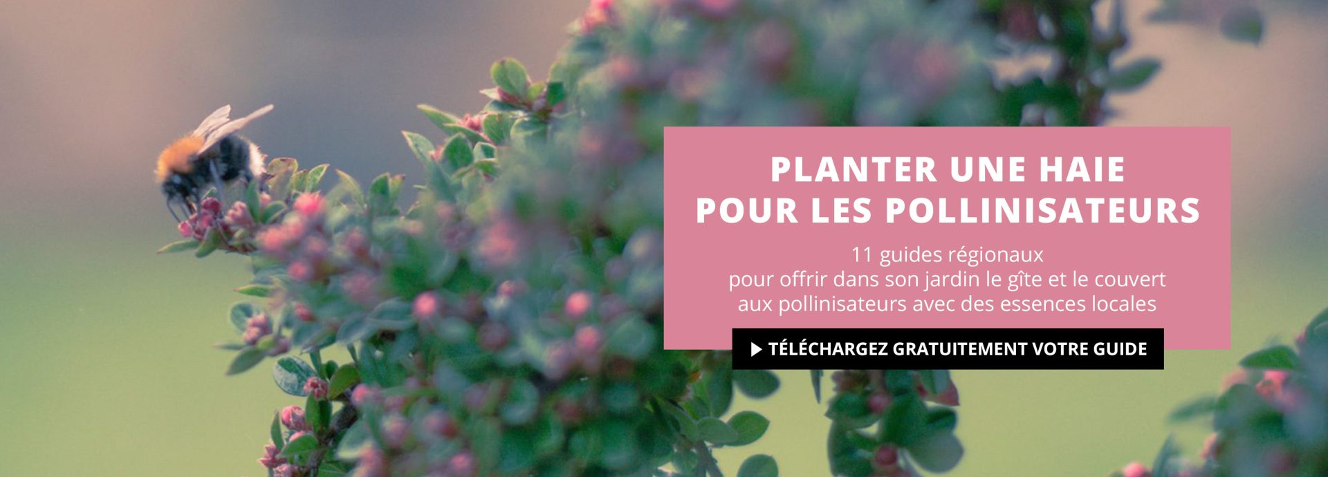 GH_slide-siteweb