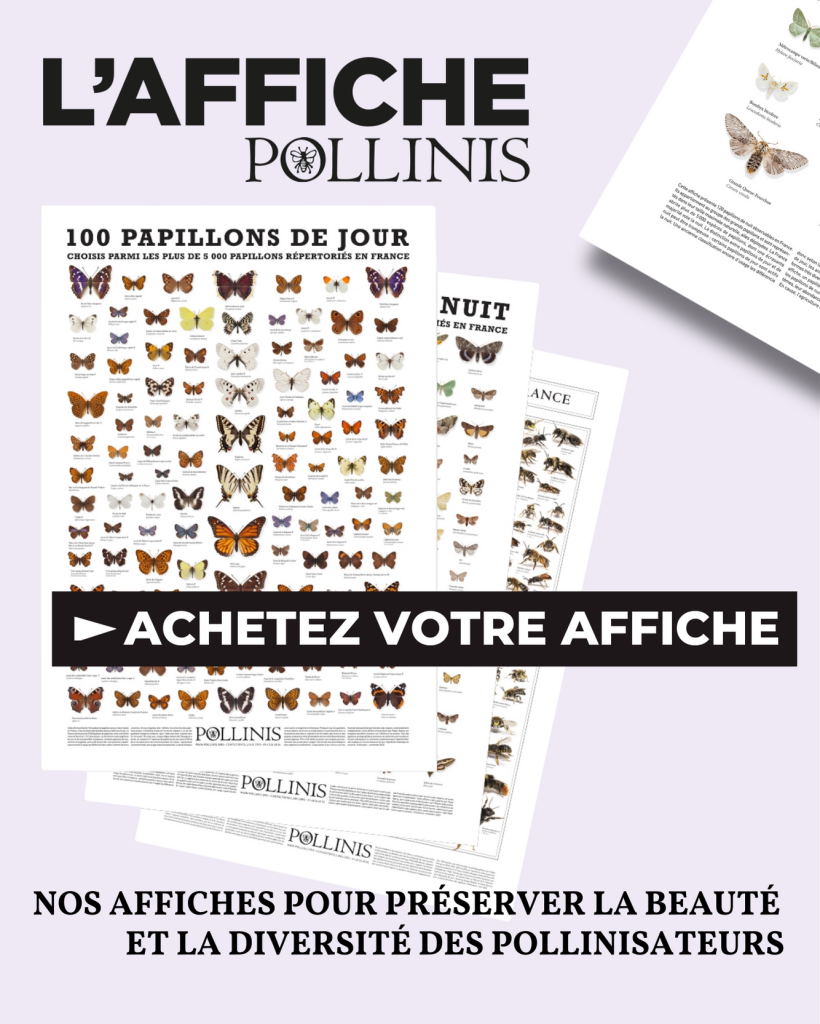 L'affiche POLLINIS pollinisateurs