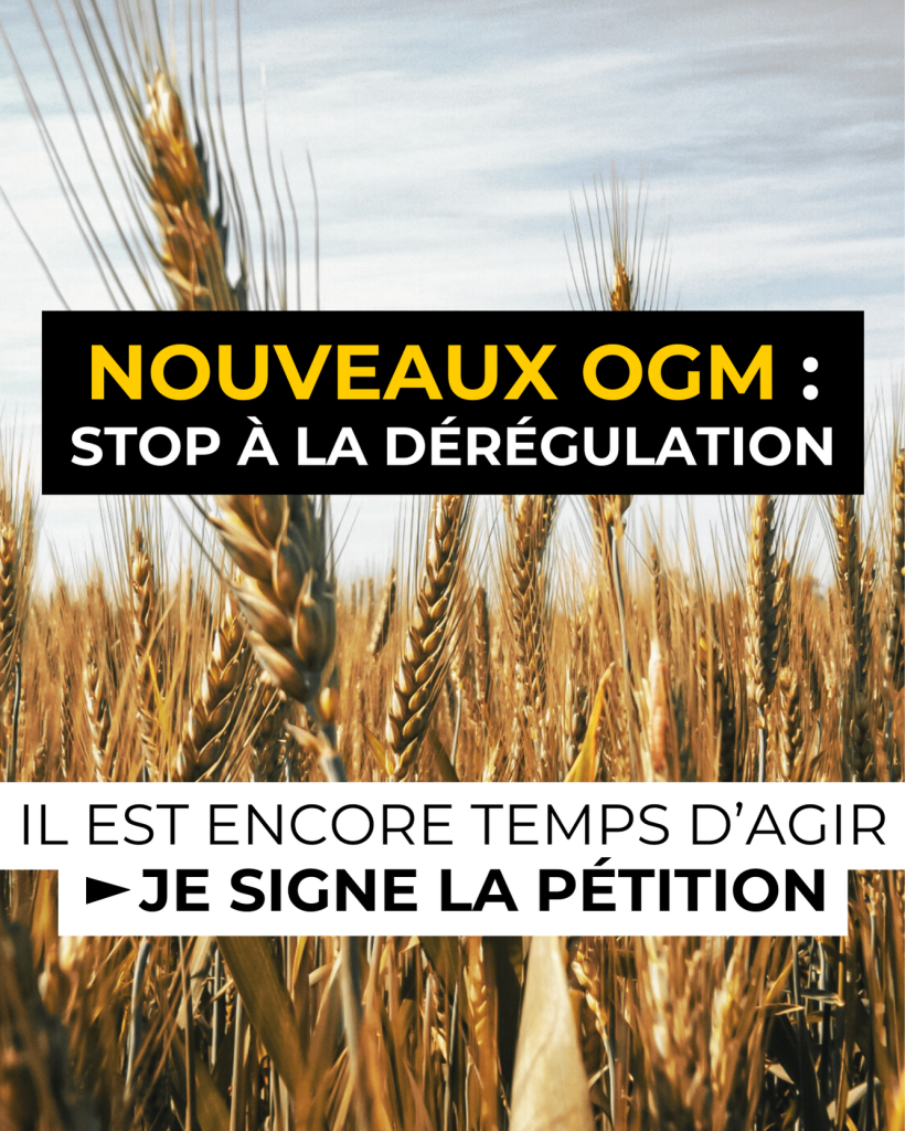 Nouveaux OGM stop à lé dérégulation (version mobile)