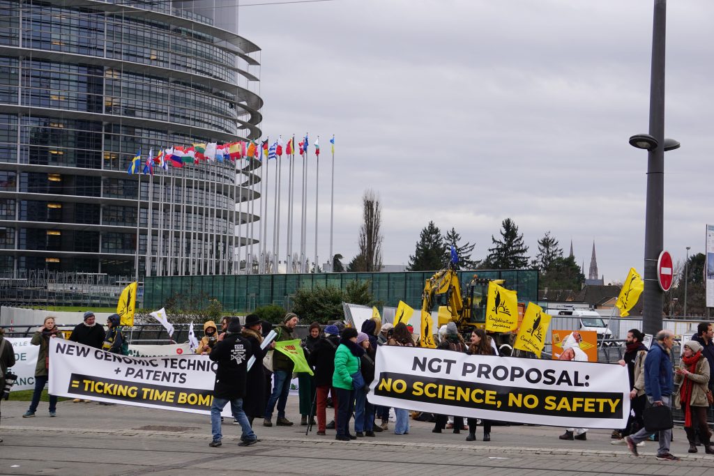 NGT : Associations réunies devant le Parlement européen de Strasbourg