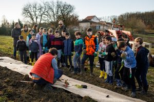 Plantation de haies par Pollinis