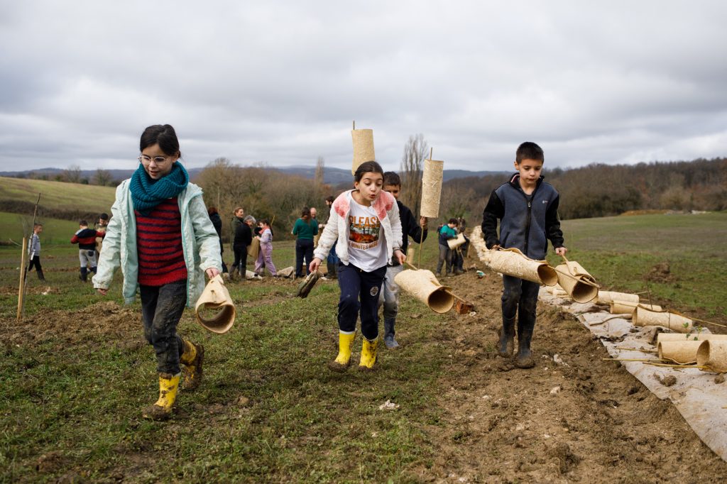 Plantation de haies par Pollinis