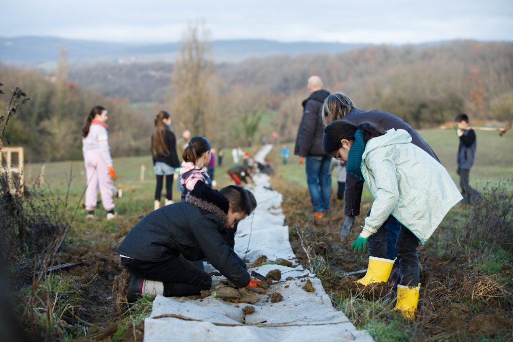 Plantation de haies par Pollinis