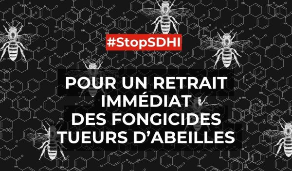 STOP SDHI POLLINIS vignette