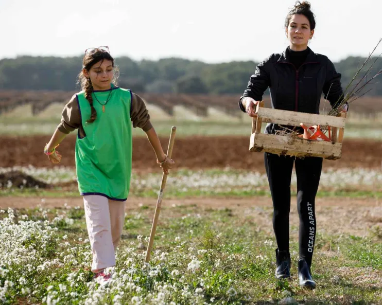 enfants-pollinisateurs-et-haies-projet-pollinis-240209188