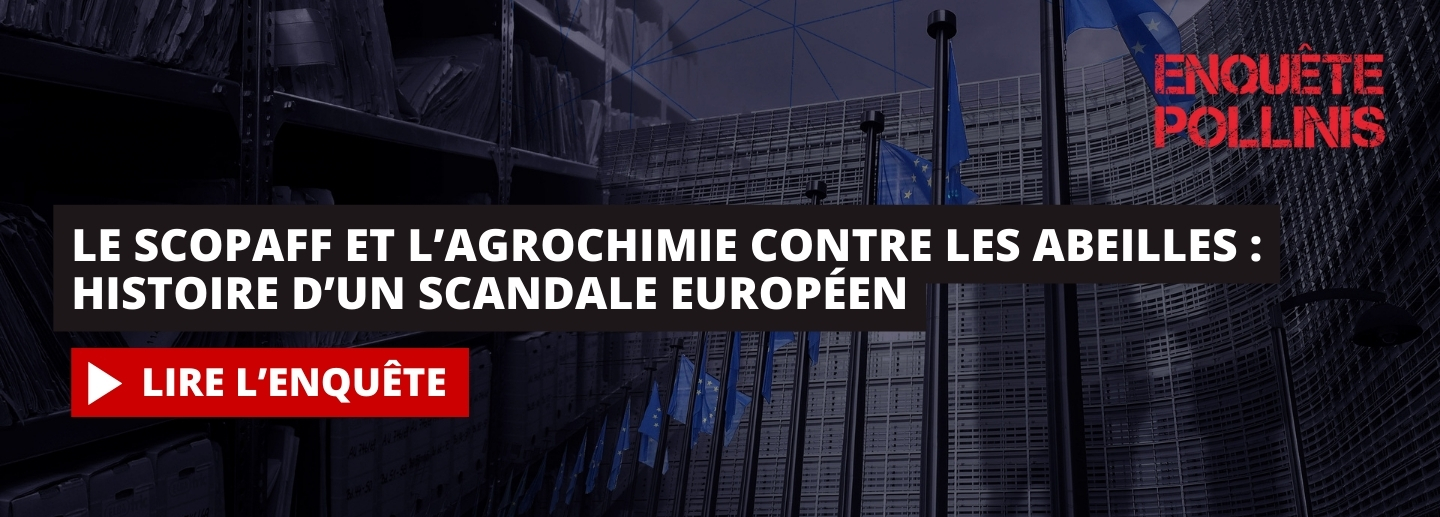 scopaff l'enquête (1)