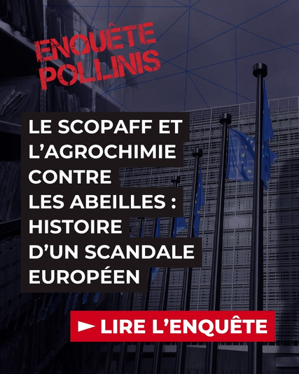 scopaff l'enquête