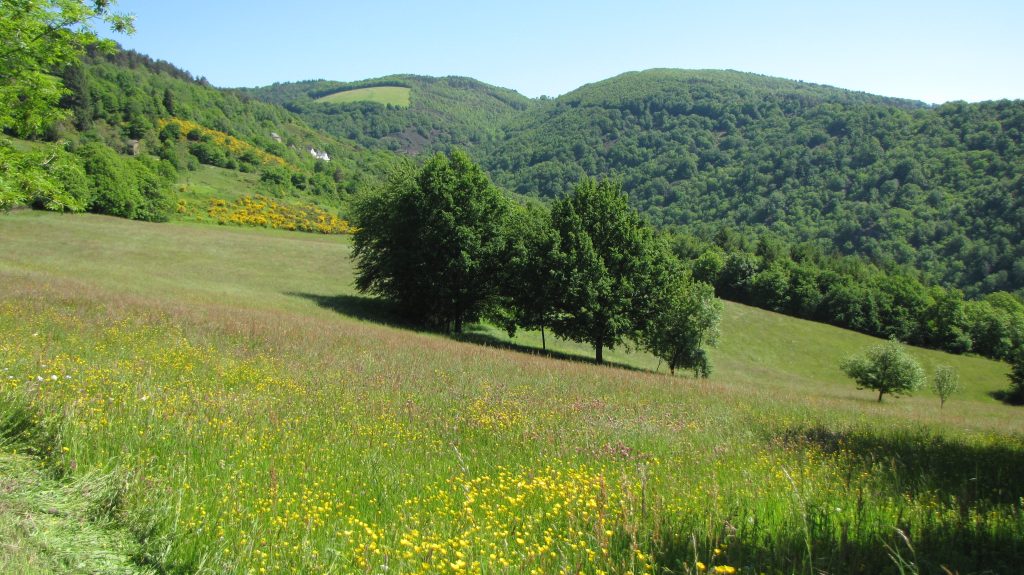 Réserve naturelle régionale les côteaux du Fel L. Campourcy (1)