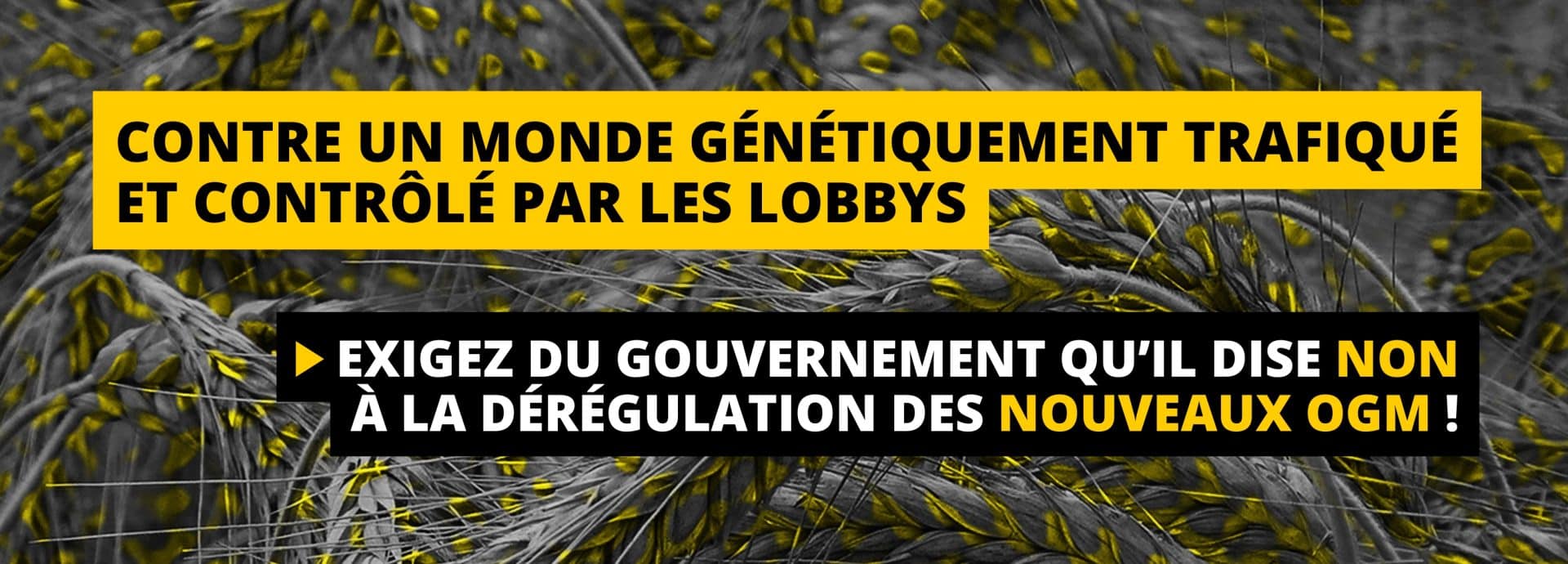 Interpellation lettre ouverte nouveaux OGM