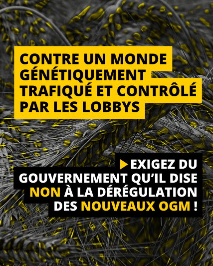 Interpellation lettre ouverte nouveaux OGM mobile 2
