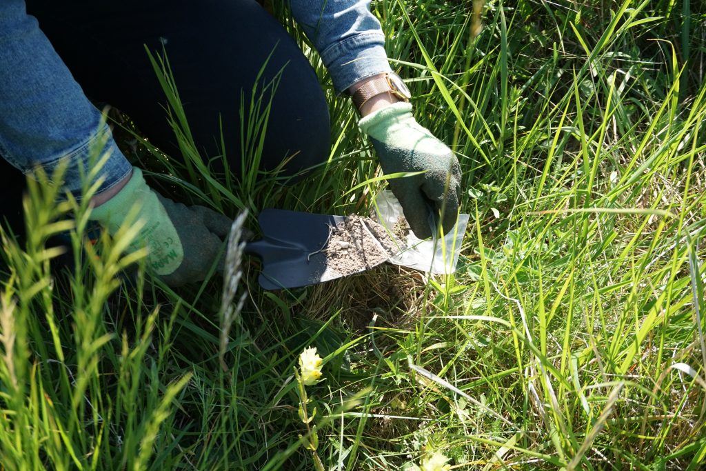 POLLINIS a réalisé des prélèvements dans le parc naturel des Coteaux de la Seine, pour mesurer la contamination aux pesticides.