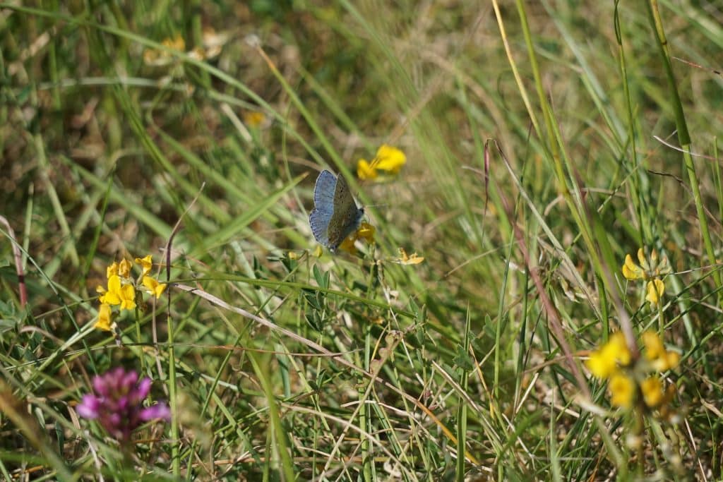 POLLINIS a réalisé des prélèvements dans le parc naturel des Coteaux de la Seine, pour mesurer la contamination aux pesticides.