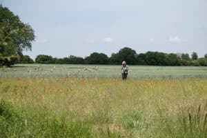 POLLINIS a réalisé des prélèvements dans le parc naturel des Coteaux de la Seine, pour mesurer la contamination aux pesticides.