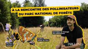 Parc_de_forets_miniature
