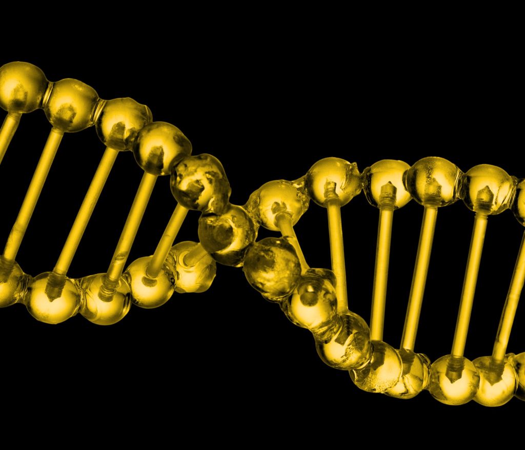 Biologie de synthèse page campagne