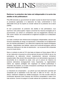 Réponse de POLLINIS à la consultation publique du gouvernement sur l'arrachage des haies.