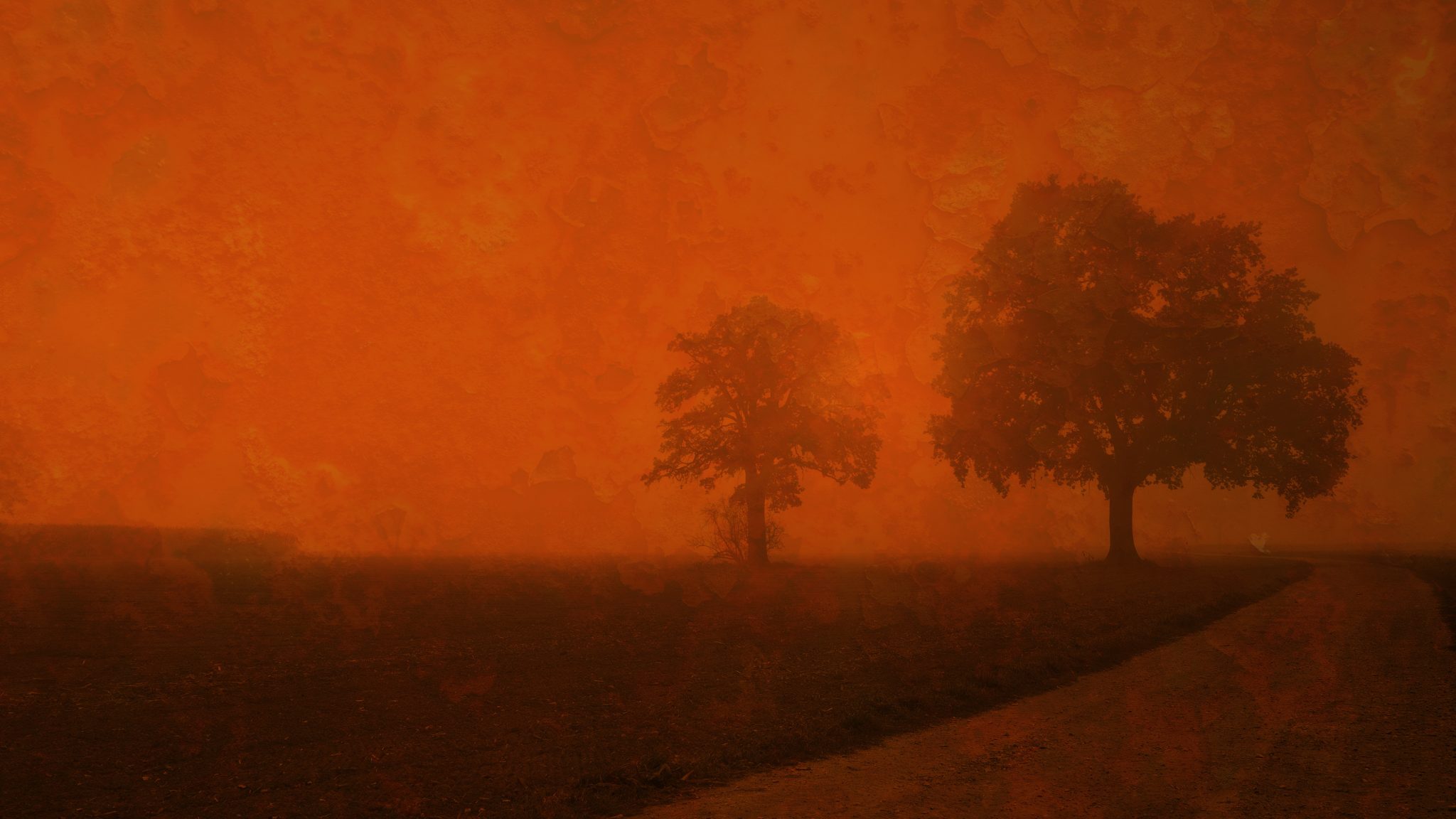 L'offensive de l'agrochimie pour vendre toujours plus de pesticides