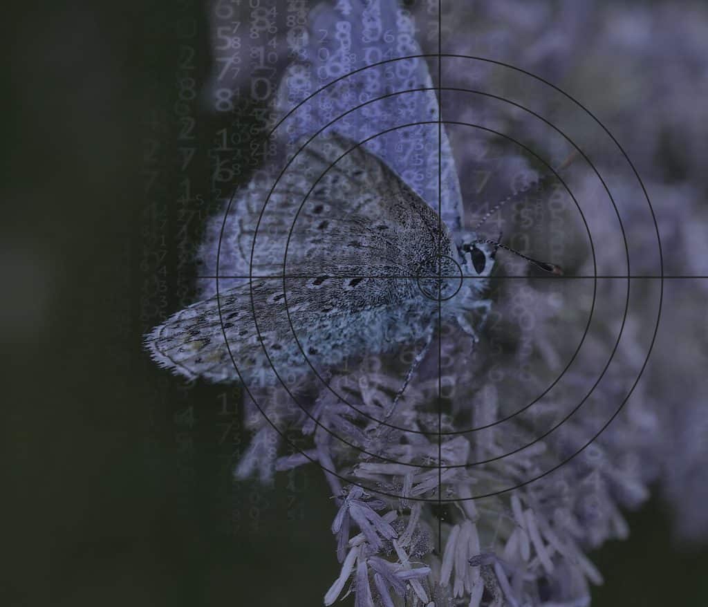 Pour la première fois dans l’Union européenne, l’EFSA (l’autorité européenne de sécurité des aliments) examine l’autorisation d’une substance active d’un produit d’un nouveau genre : un pesticide ARNi.